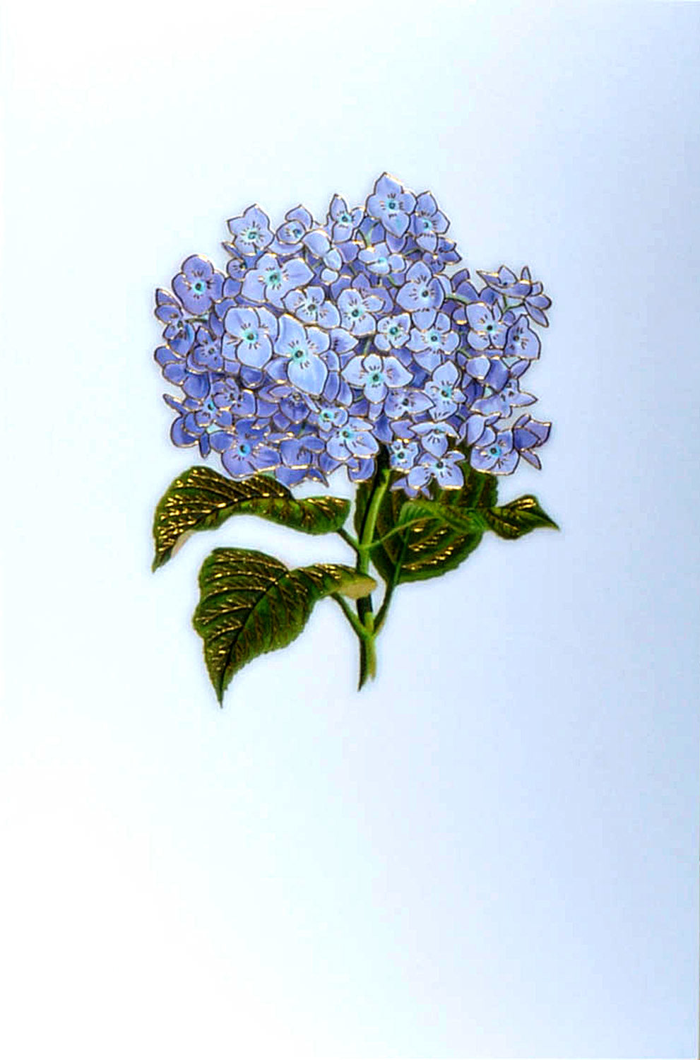 ABC Glückwunschkarte Hortensie 1120002200 B6